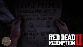 Red Dead Redemption 2  Localização dos Pôsteres do Mr White amp Mr Black [upl. by Adelle]