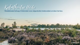 Wandelroute Schaap Kalmthoutse Heide [upl. by Archer]