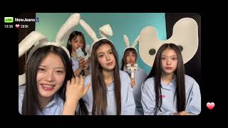 Newjeans Happy Bunnies Day phoning live 29102024 newjeans bunnies [upl. by Annaujat]