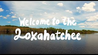 Fishing in The Loxahatchee River [upl. by Oicapot]