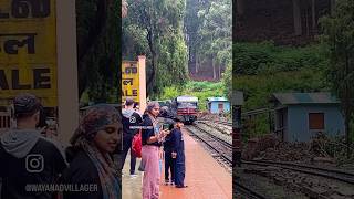 NILGIRI HERITAGE TRAIN lovedale travel shorts family sunflower blooming [upl. by Gerladina]