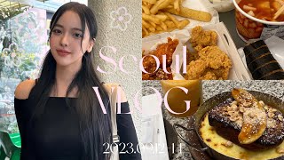 【韓国Vlog】人生初のプチ整形✈️🇰🇷2泊3日爆食しすぎてリアルに3kgは太った🐷弘大で激安服を大量ゲット🛒🛍️ホットな街の可愛すぎるカフェや雑貨も紹介🍽️ [upl. by Siryt]