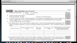 How to Fill out Form 1120S [upl. by Inman]