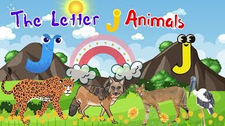 Jungle Safari with Jolly Animals The Letter J Jamboree letterJ animals alphabet abcd [upl. by Neirad]