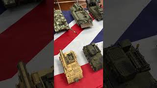 Amazing Modern British Armour Scale Model Special Interest Group Laverstock 010624 mainly 135 [upl. by Acined]