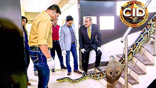 রক্তাক্ত অজগর সাপের মুখোমুখি হয় CID টিম  সিআইডি CID  bengali crime series 2024 [upl. by Suzanna]