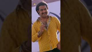 NTR Tiger Puli  Dialogue  Yamadonga  Shorts  YoutubeShorts  Dialogue  SriBalajiVideo [upl. by Aerbua]