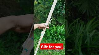 Would you take bows and arrows as a gift shorts bow arrow [upl. by Burnight778]