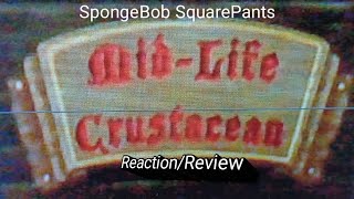 SpongeBob SquarePants MidLife Crustacean ReactionReview [upl. by Eelegna641]