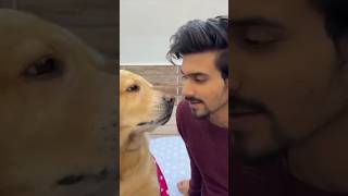 🐶Leo pyar kar raha hi viral viral funny doglover dog trending [upl. by Pacificas77]