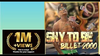 Sky To Be  Billet 2000 Audio Officiel [upl. by Metsky223]