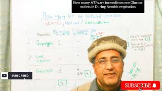 Total ATP formed from one Glucose molecule through MalateAspartate shuttle and G3P shuttle [upl. by Margeaux]
