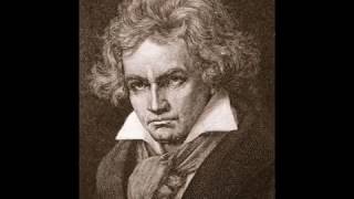 Ludwig Van Beethoven 9 Senfoni [upl. by Lekym]