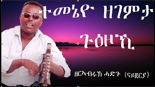 ዘርኣብሩኽ ሓድጉ ናይጀርያ  ተመኔዮ ዘገምታ ጉዕዞኺEritrean Song Temeneyo zegemta guezoki by Zerabruk Hadgu Nigeria [upl. by Einwahr]