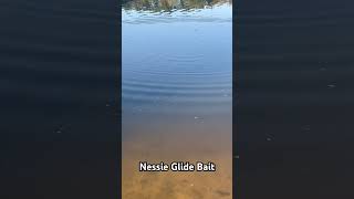 Nessie Glide Bait fishing [upl. by Bender]