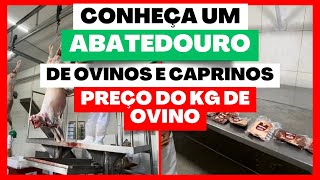 ABATEDOURO DE OVINOS E CAPRINOS D’TERRA DORMENTESPE  VEJA O PREÇO DO KG DA CARNE [upl. by Refotsirhc804]