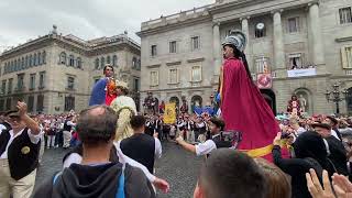 GEGANTS DE GERAARDSBERGEN BÉLGICA [upl. by Carmelia]