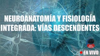 DIRECTO Neuroanatomía y fisiología integrada Vías descendentes [upl. by Gardell]