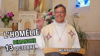 Homélie Mgr Aupetit  dimanche 13 oct 2024 [upl. by Eniwtna]