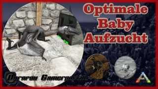 ARK Survival Evolved  Optimale Dino Baby Aufzucht  Dino Eggs  Tutorial  Deutsch  German [upl. by Karlen238]