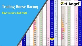 Peter Webb Bet Angel  How to exit a trade that has gone wrong  Betfair trading [upl. by Attenreb]