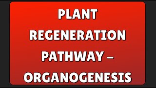 Plant Regeneration Pathway  Organogenesis [upl. by Damara]