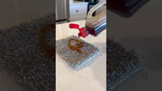 “Unstainable” Carpet VS Syrup Stain [upl. by Ottinger132]