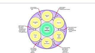 Chapter 24 asepsis and infection [upl. by Alrac]