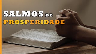 SALMOS DE PROSPERIDADE 10 versículos para atrair prosperidade [upl. by Noach]