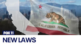 New California laws that take effect July 1 2024 [upl. by Nawotna]