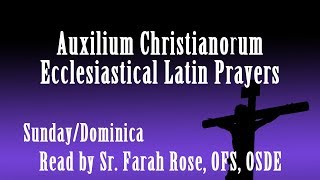 Auxilium ChristianorumSunday Ecclesiastical Latin Prayers [upl. by Ainollopa]