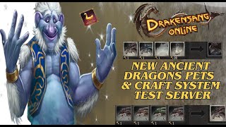 Drakensang Online  New Ancient Dragons Pets and Craft System Test Server Drakensang Dso mmorpg [upl. by Elockcin]