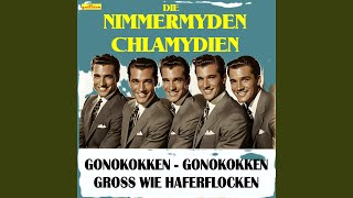 Gonokokken so groß wie Haferflocken feat Die Nimmermyden Chlamydien [upl. by Mir]