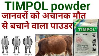 Timpol anti tympany veterinary powder ke kya upyog haitimpol powder uses in hindi in veterinary [upl. by Iuq]