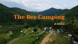 ตั้งใจไปดูเขา แต่เราดันเจอหมอก l The Bee Camping สวนผึ้ง l ลานกางเต็นท์ อสวนผึ้ง จราชบุรี l EP06 [upl. by Beekman]