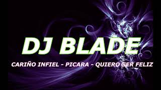 Mix Cariño Infiel  Picara  Quiero Ser Feliz  Fin De Año DJ Blade [upl. by Drofxer]