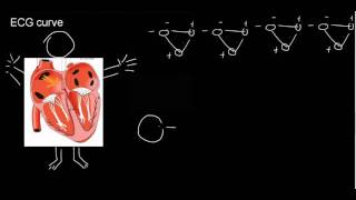 lecture 21 part 3 ECG Einthovens triangle [upl. by Irved]