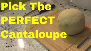 How To Pick A CantaloupeChoosing A Ripe Melon [upl. by Afnin]