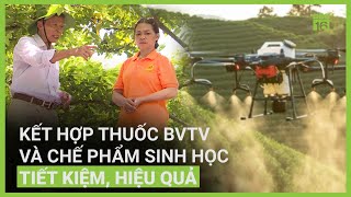 Hướng dẫn kết hợp thuốc BVTV và chế phẩm sinh học trong trồng trọt  VTC16 [upl. by Noxaj63]