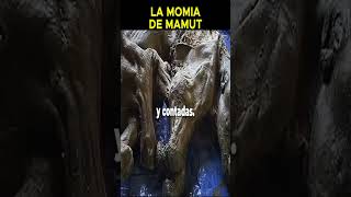 La momia de mamut [upl. by Huntington]