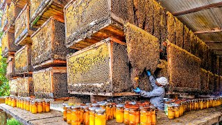 How Biggets Bee Farms Raise Billions Bees And Process Millions Tons Of Honey  Honey In Factory [upl. by Minnnie]