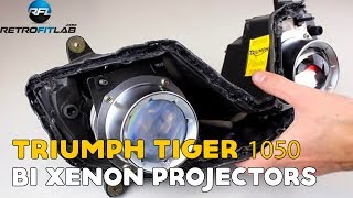 Triumph Tiger 1050  Daytona 675 Bi xenon projectors run both lights [upl. by Aihsenat]