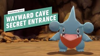 Pokemon Brilliant Diamond Shining Pearl  Wayward Cave How to Find Gible and Earthquake [upl. by Fortier]