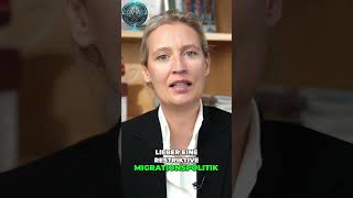 🚨 Alice Weidel enthüllt EUStaaten gegen Migration – Polen baut Schutzmauer 😱🇵🇱🇩🇪 [upl. by Lehcnom]