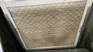 Do Air Filters Actually Make a Difference in Your Home [upl. by Eikcid]