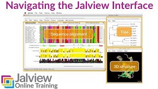 Navigating the Jalview desktop [upl. by Leopoldeen711]