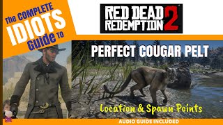 Perfect Cougar Pelt  Spawn Locations and Audio Guide  Idiots Guide to RDR2 [upl. by Silyhp]