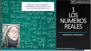 MAT 1º BACHTO CIENCIAS 1 REALES TEORIA [upl. by Ynamad]