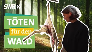 Jagd auf Rehe Hirsche und Wildschweine  nachhaltiges Fleisch gesundes Ökosystem I Ökochecker SWR [upl. by Matlick]