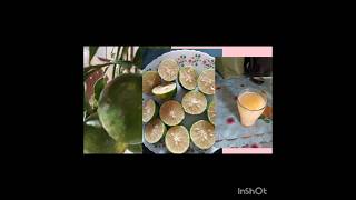 CITRUS SINENSIS USES  NARINJA PANDU USES  DIABETES  CONSTEPATION  YUMMY FRUIT   SKINTONE [upl. by Ahsekam584]